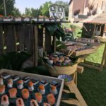 Aperitivo Catering 2022